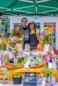 Carissa and Sam, The Schoonders Plot