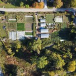 Richard Bloomfield from Urban Roots London