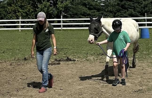 A child wearing a riding helmet and green shirt leads a black and white horse with a purple rope, accompanied by an adult in a green t-shirt, jeans, and pink boots. They walk together in a dirt paddock surrounded by white fencing and tall trees under a partly cloudy sky.