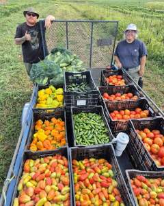 Two people stand beside a trailer filled with crates of freshly harvested vegetables, including tomatoes, peppers, cucumbers, and zucchini, in a field at New Moon Community Homestead.