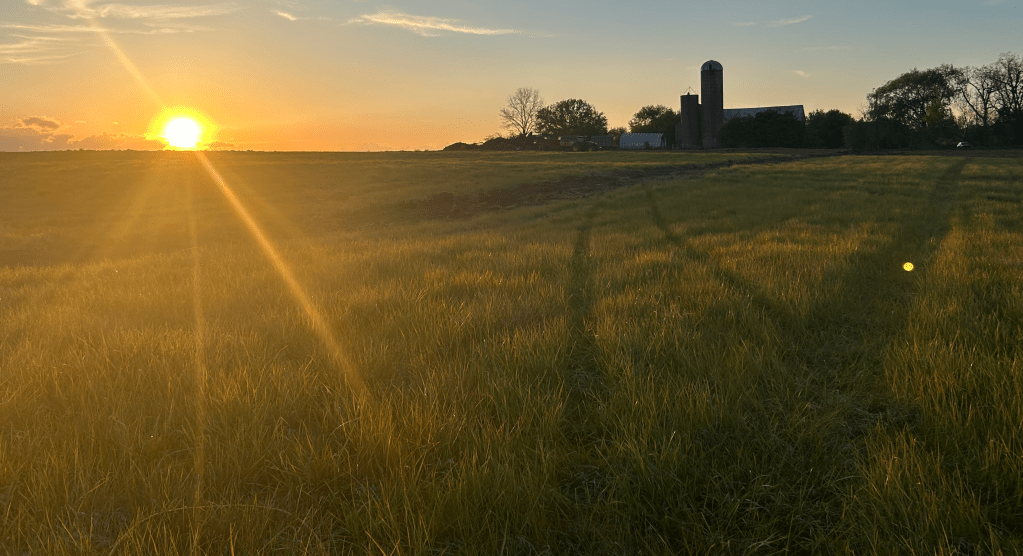 A farm field at sunset with a barn and silo in the background