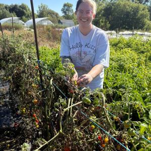 Alyssa is standing in a green field, wearing a blue shirt, harvesting cherry tomatoes