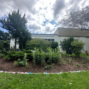 Outdoor garden bed with shrubs and leafy plants in front of a building, bordered by painted stones, under a cloudy sky.