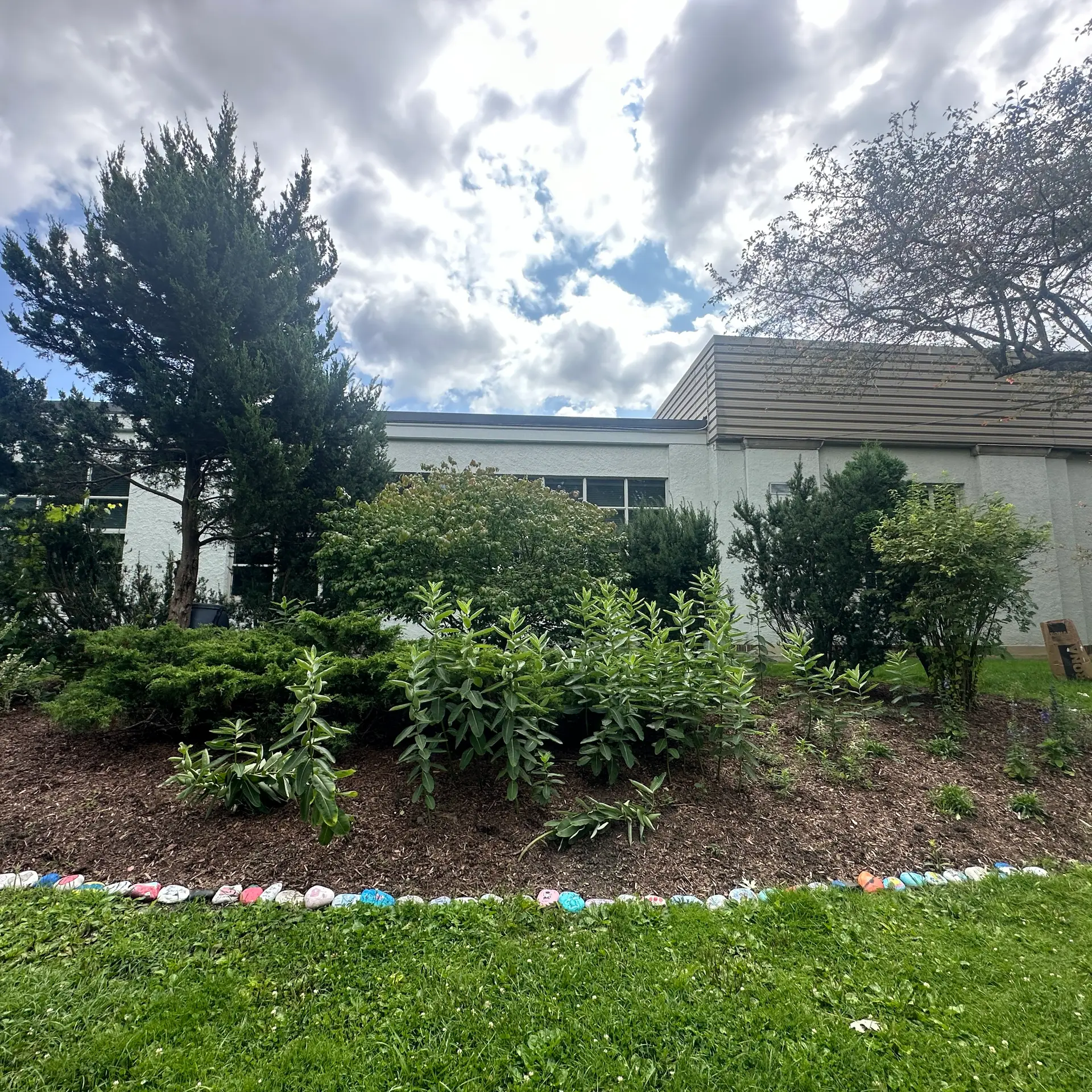 Outdoor garden bed with shrubs and leafy plants in front of a building, bordered by painted stones, under a cloudy sky.