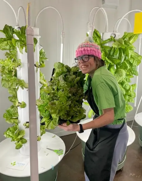 An individual harvesting leafy greens from indoor vertical hydroponic towers as part of an urban agriculture training program.