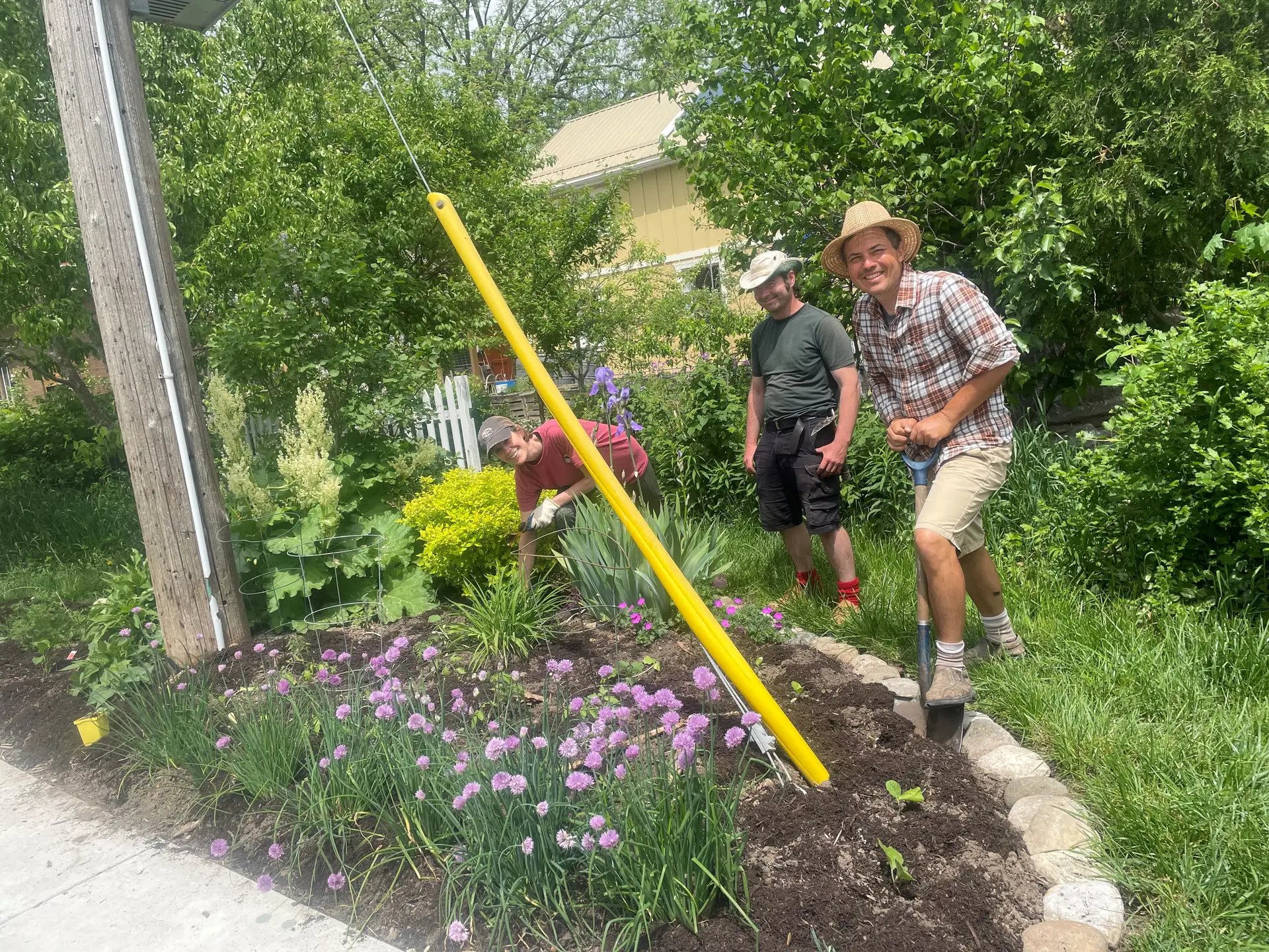 Community members install a boulevard garden, planting vegetables and flowers along a residential street beside a sidewalk.